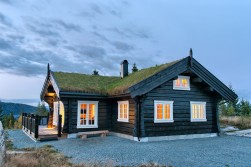 Eksterjers49