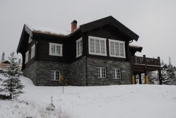 Eksterjers43