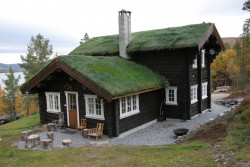 Eksterjers42