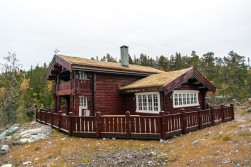Eksterjers37