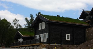 Eksterjers30