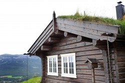 Eksterjers22