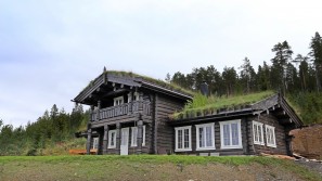 Eksterjers14