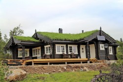 Eksterjers11