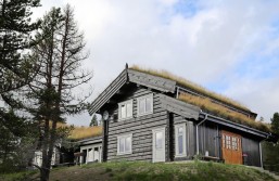 Eksterjers10