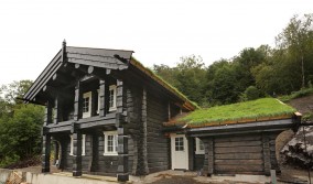 Eksterjers8