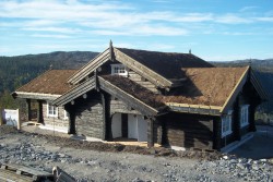 Eksterjers106