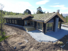 Eksterjers74