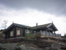 Eksterjers61