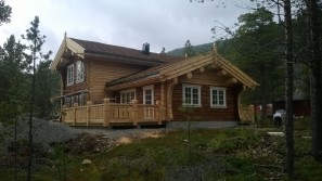 Eksterjers50