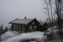 Eksterjers48