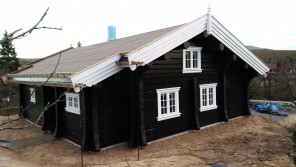 Eksterjers46